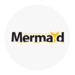 golden bike e fitness (1)